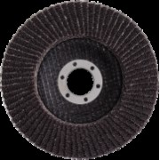 Лепестковый тарельчатый круг FLDH-10 125x22,23