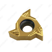 RT22.01W-N60P-YBG201 Пластина резьбовая