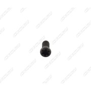 L60M2,5x6,5 Винт