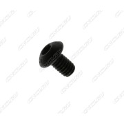 SS04008 Винт подкладной пластины